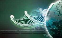 阿里云基因计算方案将在云栖大会发布 基因检测概念股