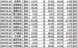 “战略投资者”标准引热议！8折锁价+限售18个月的定增 谁有资格拿？