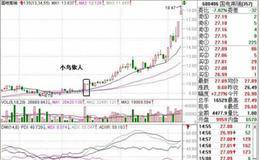 小鸟依人整理阶段战法