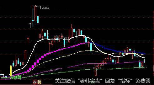 通达信金蜘蛛网主图指标公式详细介绍