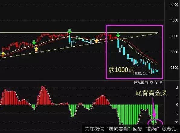 市场见底是和主力资金有关，主力资金是可以形成赚钱效应