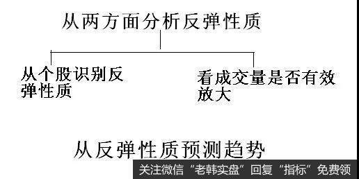 从个股识别反弹行情的真实性