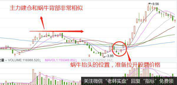 K线蜗牛抬头的实战案例