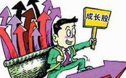 成长股投资的几点体会