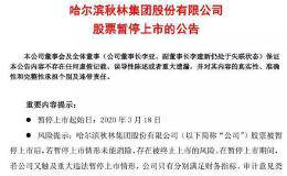 百年老店*ST秋林暂停上市！深陷董事长失联、业务停滞、“萝卜章”等事件