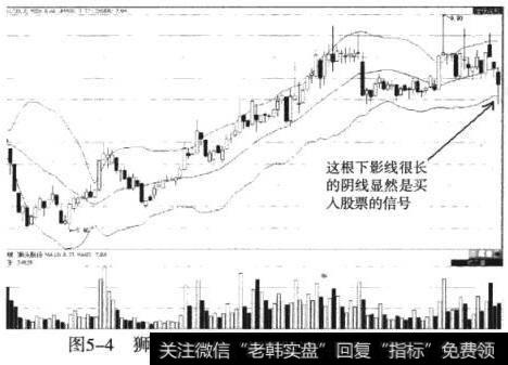 狮头股份（600539）布林线下轨获支持