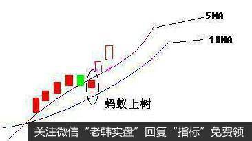 蚂蚁上树K线形态的概念