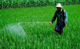农作物病虫害防治迎来法律保障,农药题材概念股可关注