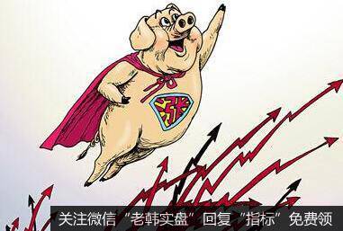 武汉再投放5000吨储备冻猪肉