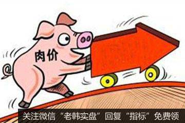 猪肉价格降至春节后最低点