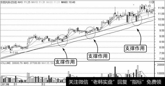 东阳光科支撑线作用示意图