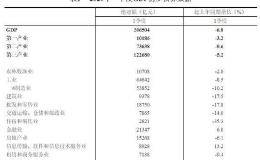 一季度GDP初步核算结果：信息传输、软件和信息技术服务业同比增13.2%