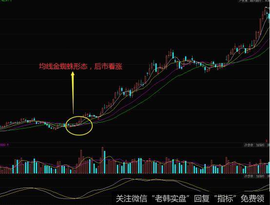 均线金蜘蛛形态的实战案例