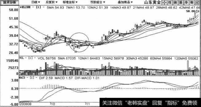 600547东黄金包括2008年8月29日至2009年2月3日在内的日K线图