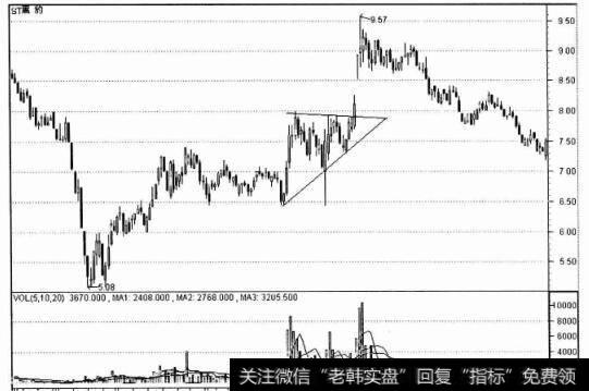 山东黑豹股票图