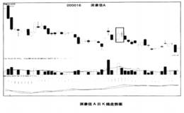 如何辨别身怀六甲和十字胎陷阱