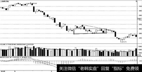 中枢的收敛形态