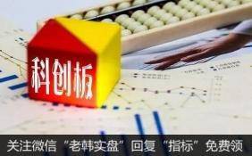 科创板上市公司发行证券信披要求出炉 再融资通道即将打开