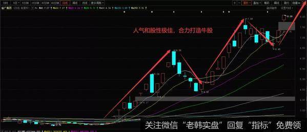 打造出了这只超人气牛股