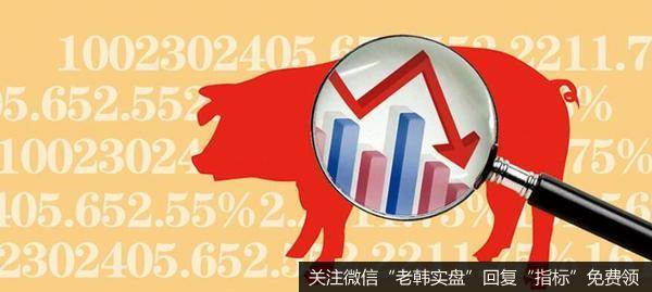 猪肉价格连降13周 买得更有底气 预计肉价将震荡调整