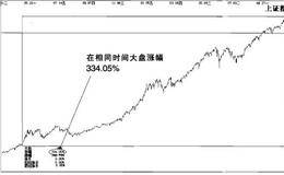 细数十只股票2006年操盘小结