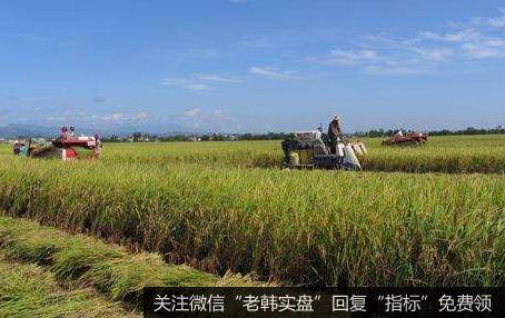 农业农村部发文:加快推广适宜机械化生产新模式