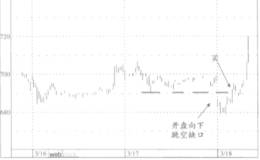 名师来揭示开盘缺口指标Gap Open Signals(GO)