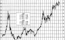 置之死地而后生20世纪30年代的神话：大公司的情况如何