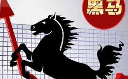 教您识别暴力<em>黑马牛股</em>