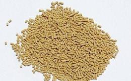 存栏回升叠加规模化提速,饲料题材概念股可关注