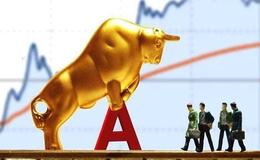 抢装潮引发投资额大增、海上风电同比暴增319%  新能源概念股可关注