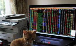 居锦斌最新股市评论：如期大涨后周二如何操作