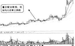如何运用量能柱的艺术美来选牛股
