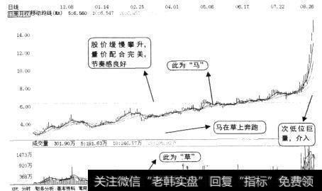 双钱股份(600623)的日K线图