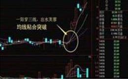 [黄智华股市分析]“龙头”业绩浮出水面 