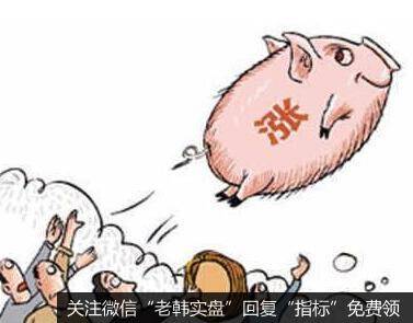 重庆猪肉价格上周涨跌互现