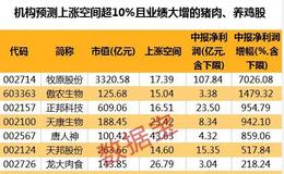 9只猪肉、养鸡概念股业绩大增