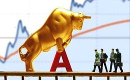 印度单日新增确诊病例迭创纪录、或影响部分化工品出口  化工原料概念股可关注