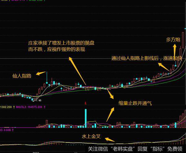 仙人指路案例