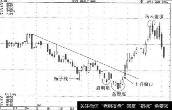 确认趋势反转—1991年12月咖啡