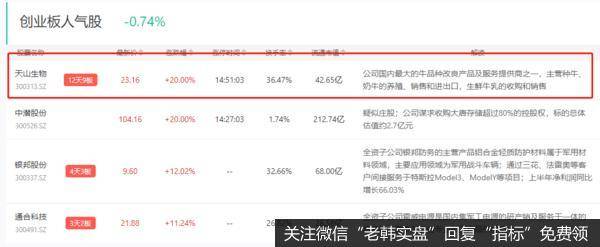 创业板人气股