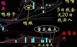 [巴菲特股市分析]高盛又喊你买股票啦！巴菲特50多年首次打新即将登场