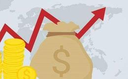 股票市场中的投资原则有哪些？