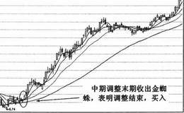 什么是金蜘蛛形态以及金蜘蛛形态的特征及含义