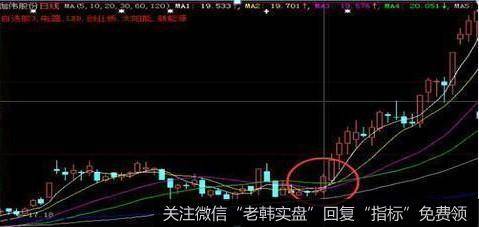 “出水芙蓉”形态: