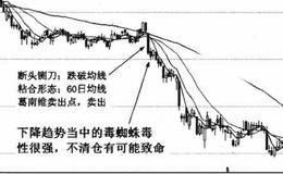 什么是毒蜘蛛形态？以及毒蜘蛛形态的技术特征及含义