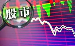 老股民的心得体会