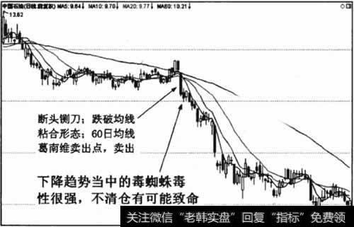 下降趋势中毒蜘蛛