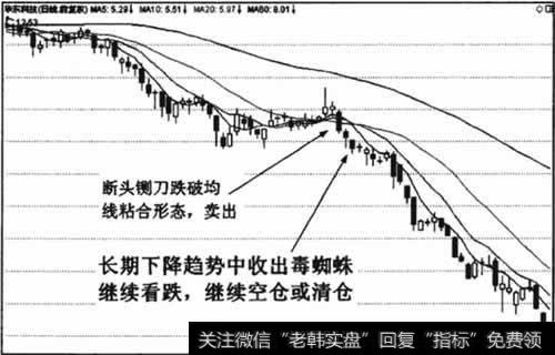 长期下降趋势中毒蜘蛛