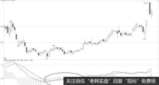 小鸭出水